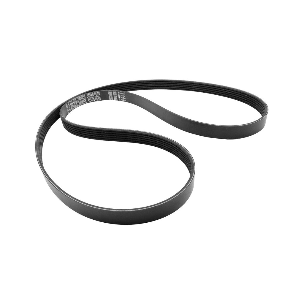 Banda Serpentin KNADIAN K081000