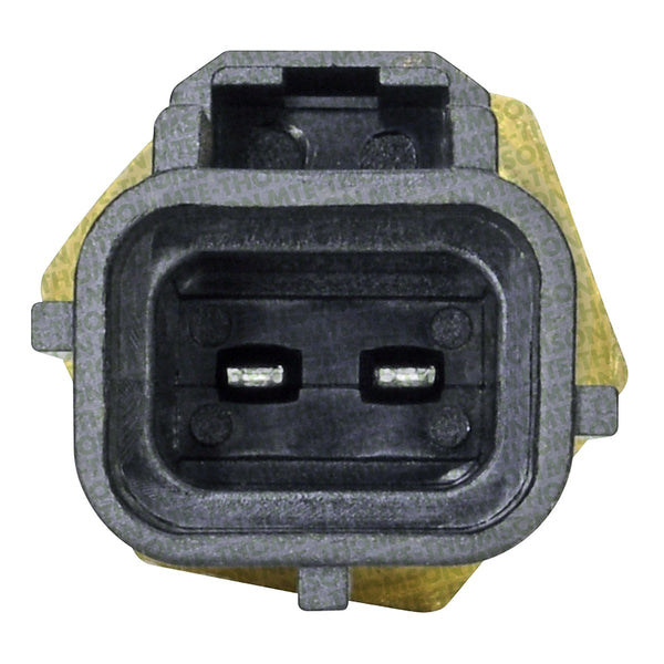 Sensor de Temperatura Refrigerante MTE-THOMSON 4020