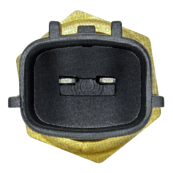 Sensor de Temperatura Refrigerante MTE-THOMSON 4244