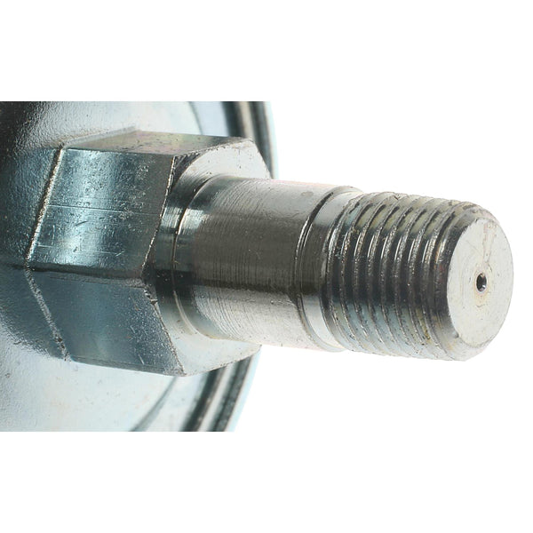 Bulbo de Aceite ORIGINAL ENGINE MANAGEMENT 8166