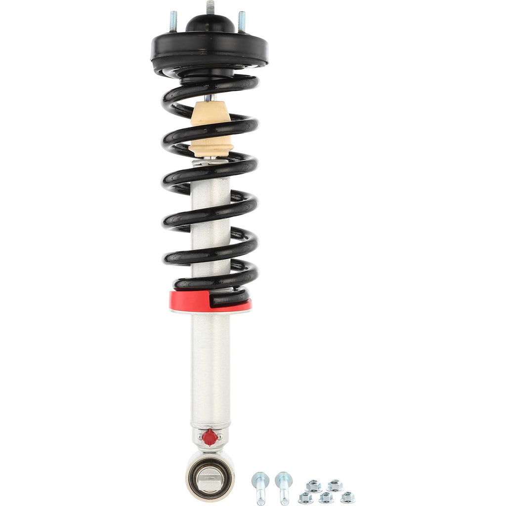 Ensamble de Strut RANCHO RS999945