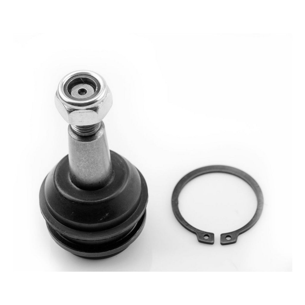 Rotula Inferior SYD 1015003