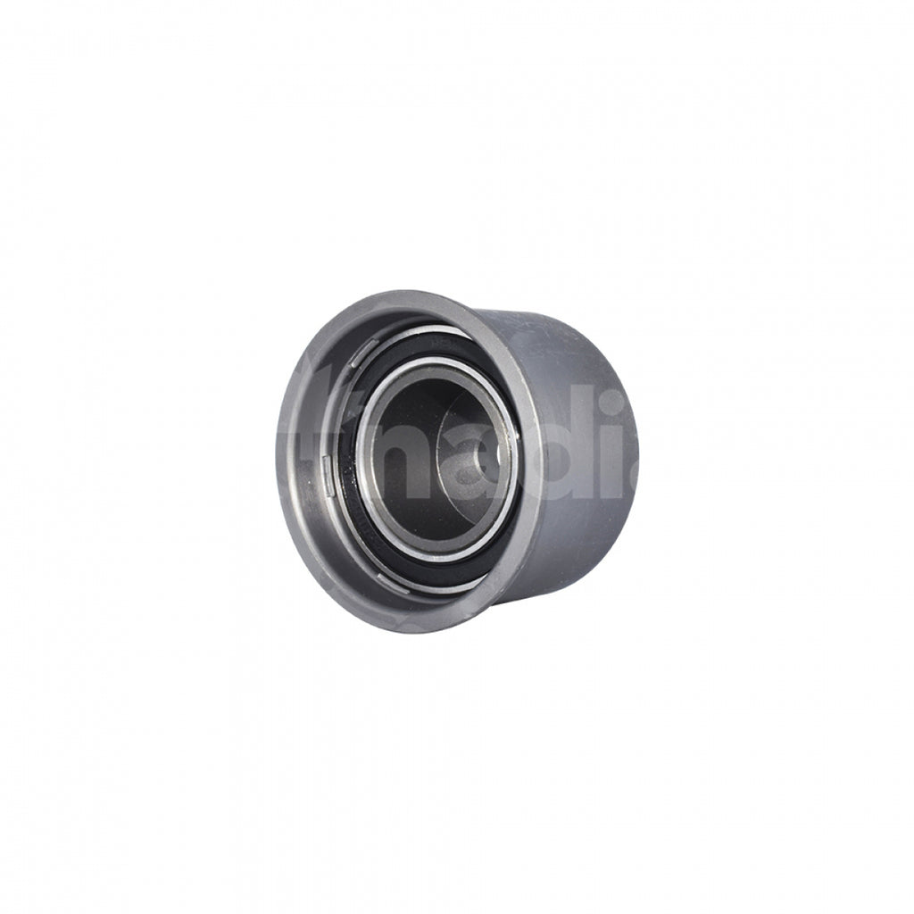 Polea Loca de Motor KNADIAN 185224T