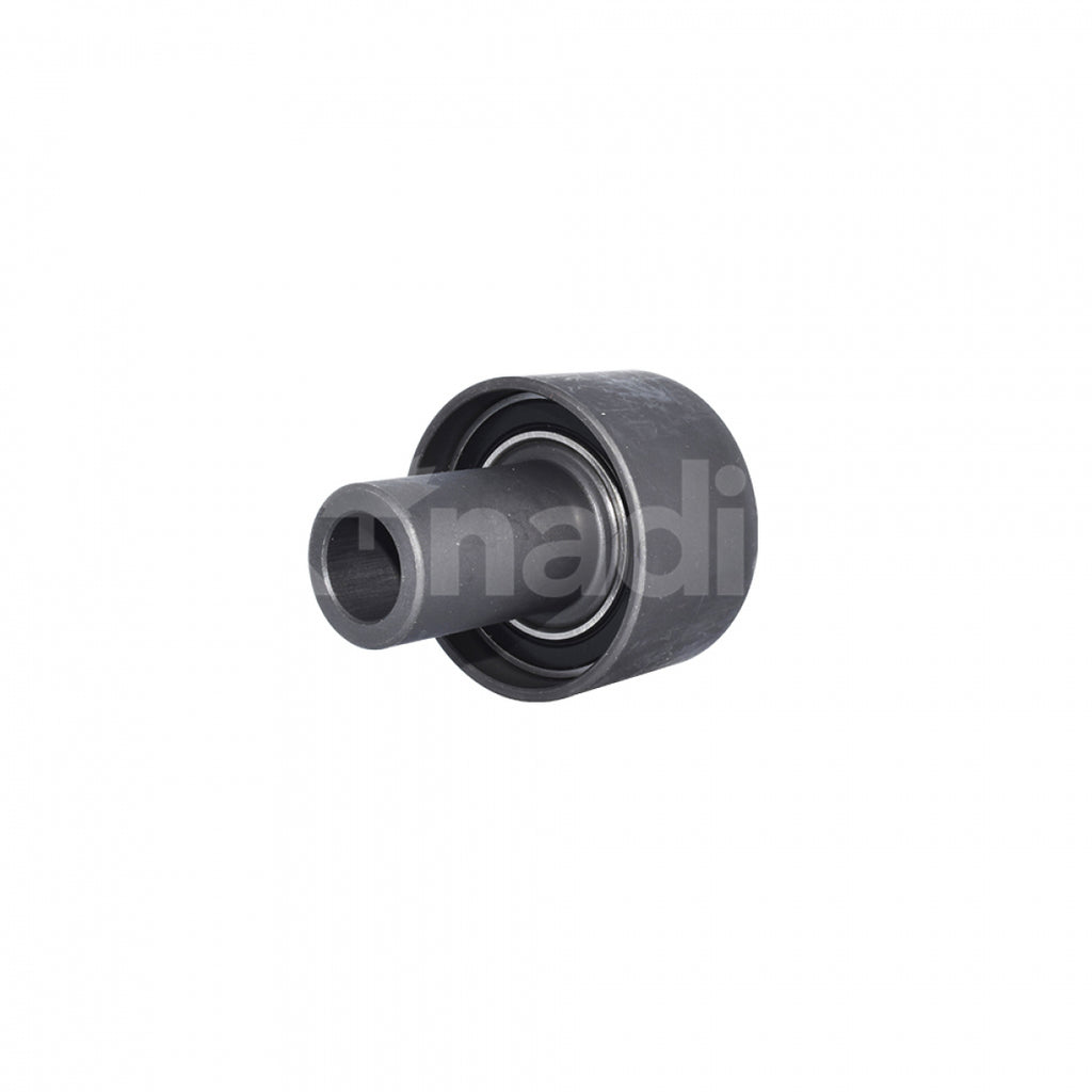 Polea Loca de Motor KNADIAN 185283T