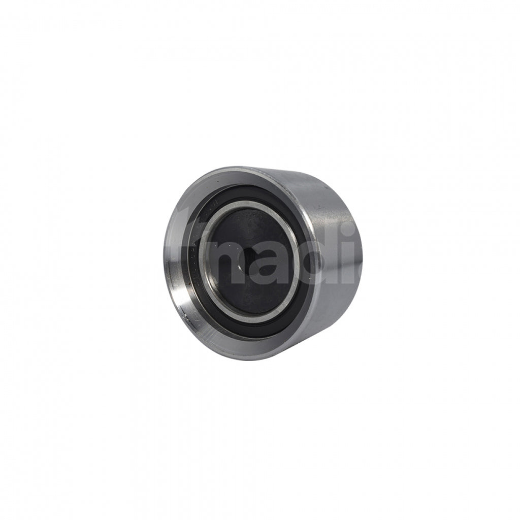 Polea Loca de Motor KNADIAN 185477T