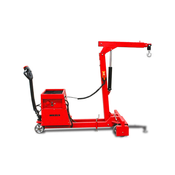 Grúa eléctrica (500 kgs)