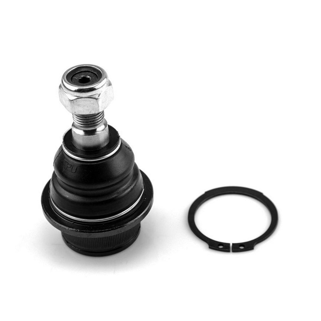 Rotula Inferior SYD K-8695